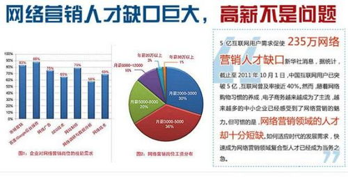 网络营销专员具体是做什么的