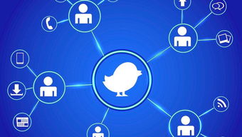 中小企业如何做好网络营销